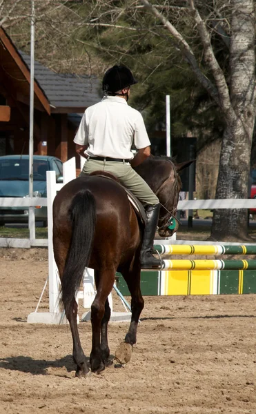 El jinete en un caballo de la bahía. Hipódromo —  Fotos de Stock