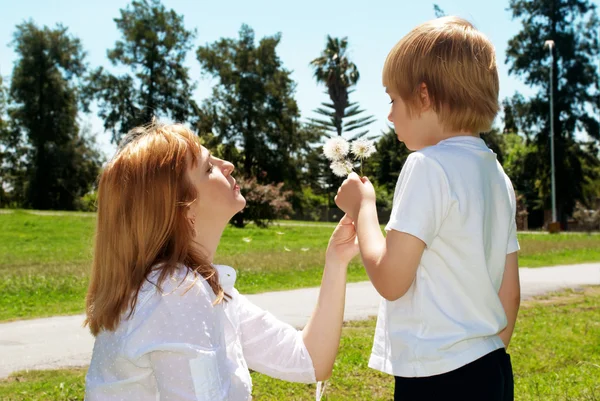 Anne ile oğlu ile dandelions ellerinde — Stok fotoğraf