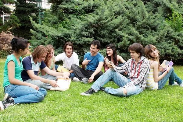Grupo de estudiantes sentados en el parque sobre una hierba — Foto de Stock