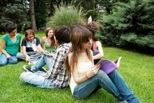 Grupa studentów siedzi w parku na trawie — Zdjęcie stockowe