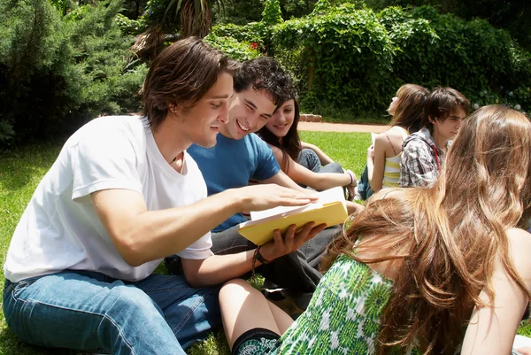 Skupina studentů sedí v parku trávě — Stock fotografie