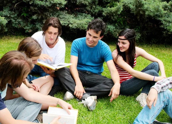 Grupo de estudiantes sentados en el parque sobre una hierba —  Fotos de Stock