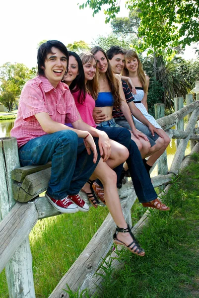 Gelukkig groep vrienden glimlachend buiten in een park — Stockfoto