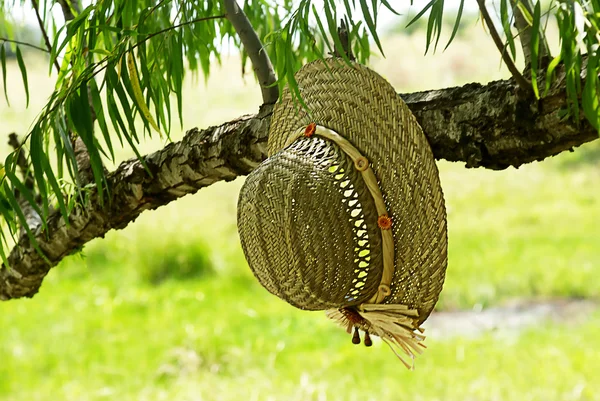 Słomkowy kapelusz wiszące na drzewie — Zdjęcie stockowe