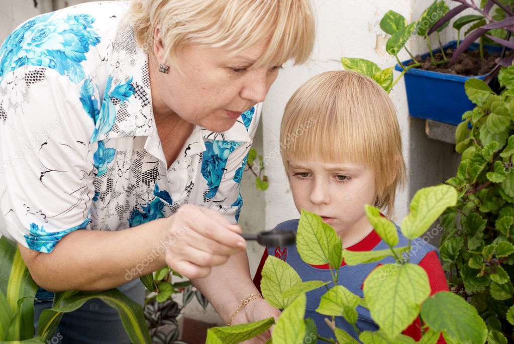 The grandson and grandmother Studying a plant