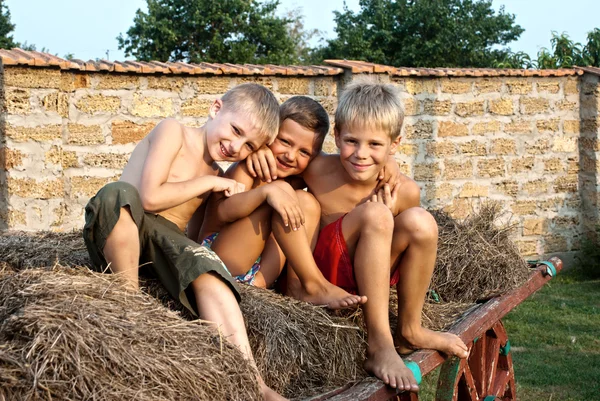 Boys sitting on a hay bale — Stock Photo, Image