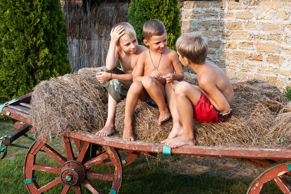 Мальчики, сидящие на сеновале — стоковое фото