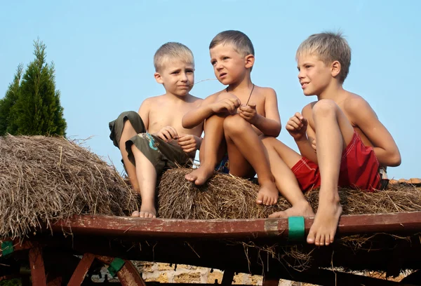 Pojkar som sitter på en hö bal på himmel bakgrund — Stockfoto