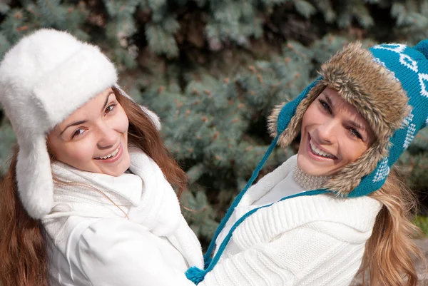 Två glada flickor tvillingar, i parken — Stockfoto