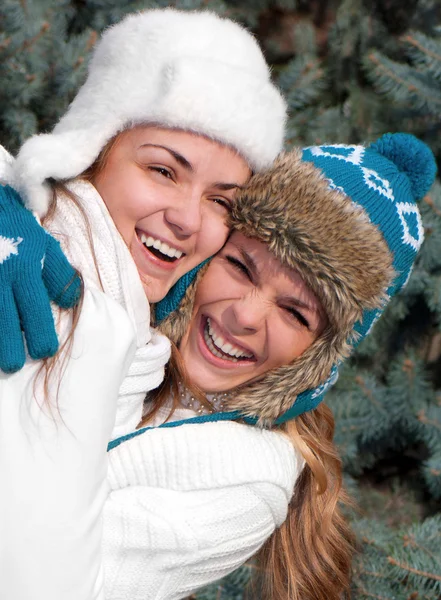 Twee vrolijke meisjes Tweelingen, in het park — Stockfoto