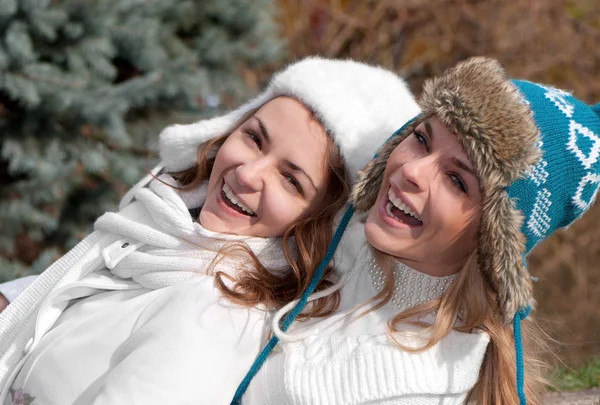 Две веселые девочки-близнецы в парке — стоковое фото