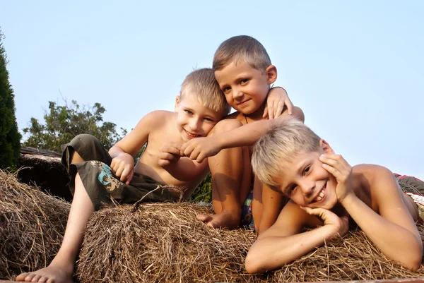 Boys sitting on a hay bale on sky background Royalty Free Stock Images