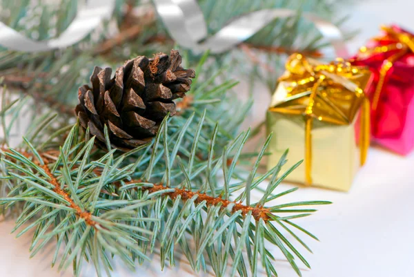 白い背景で隔離 fir コーンとクリスマスの枝します。 — ストック写真