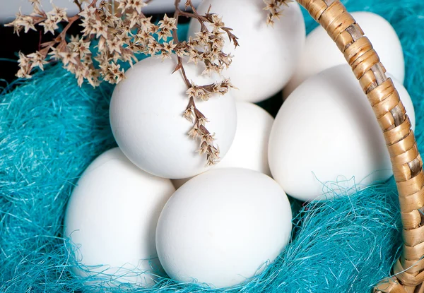 Cesto pieno di uova di Pasqua con ramoscelli primaverili — Foto Stock