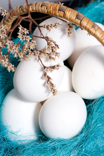 Basket full of easter eggs with spring twigs — Stock Photo, Image