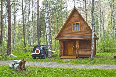 Wooden small house in a wood clipart