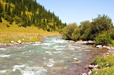 Dağ nehri