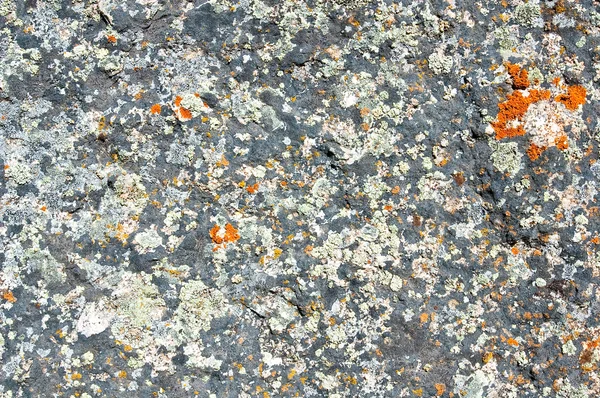 灰色の石 — ストック写真