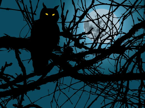 猫头鹰在夜间 — 图库矢量图片
