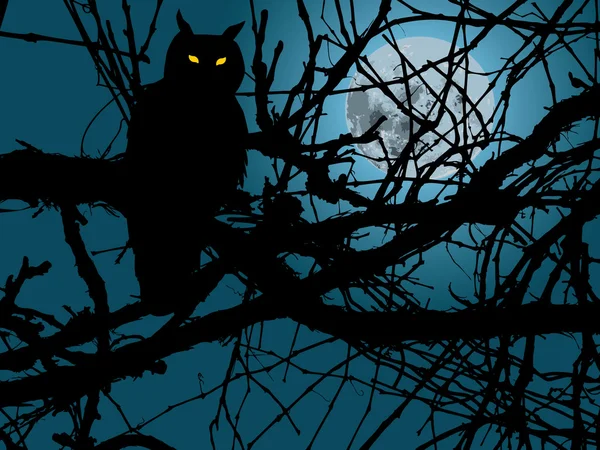 Hibou de nuit — Image vectorielle