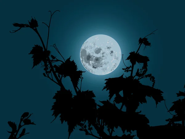 葡萄植物在月光下 — 图库矢量图片