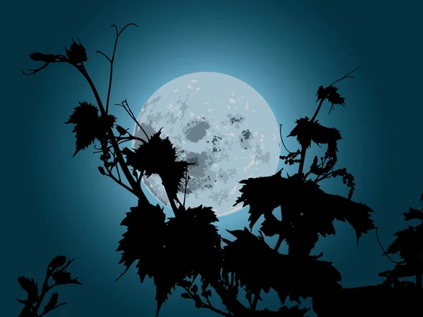 Druiven plant in het maanlicht — Stockvector