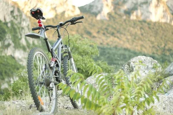 stock image Mountain biking