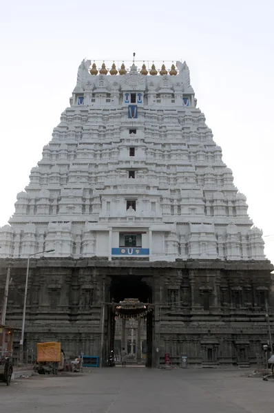 Templo de Varadaraja Perumal — Foto de Stock
