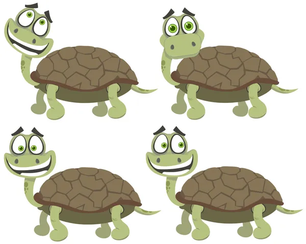 Set van schildpadden — Stockvector