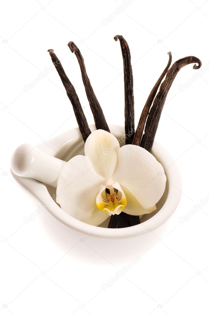 Vanilla pods and flower