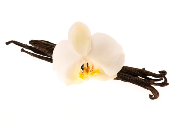 Vanilleschoten und Blume — Stockfoto