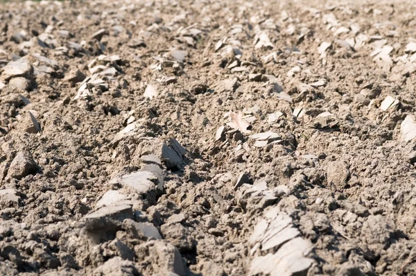 stock image Cultivated Field Background