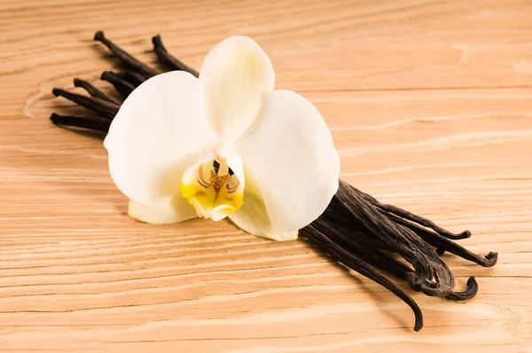 Vanilla pods and flower — Stock Photo, Image