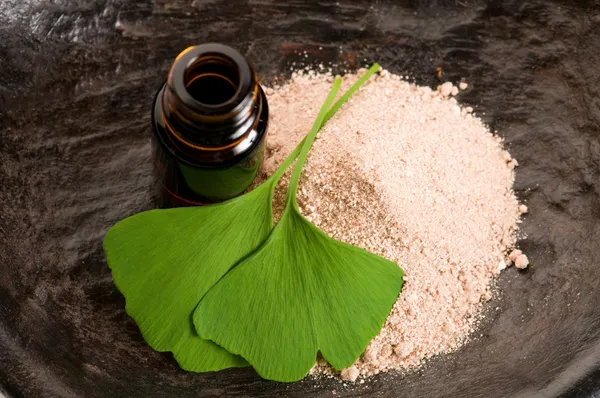 Fresh leaves ginko biloba essential oil and powder - beauty trea — Stock Photo, Image