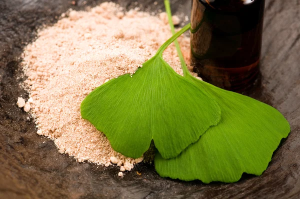 Aceite esencial de ginko biloba y polvo de hojas frescas - beauty trea — Foto de Stock