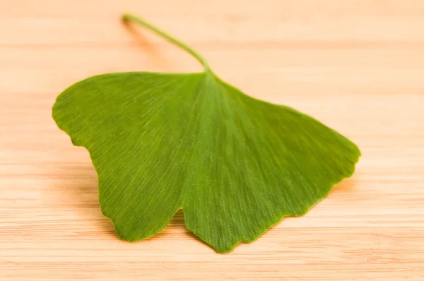 Fresh Leaves Ginkgo On The Wood — Stock Photo, Image