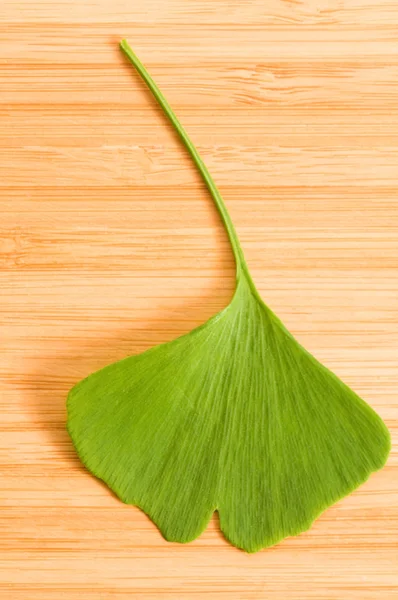 Folhas frescas Ginkgo na madeira — Fotografia de Stock
