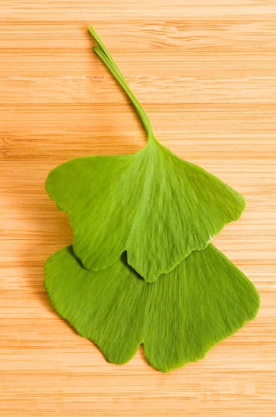 Ginkgo čerstvé listy na dřevo — Stock fotografie
