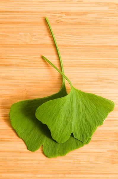 Fresh Leaves Ginkgo On The Wood — Stock Photo, Image