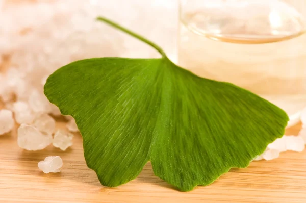Свіже листя джинко білоба ефірна олія та морська сіль - Краса tr — стокове фото
