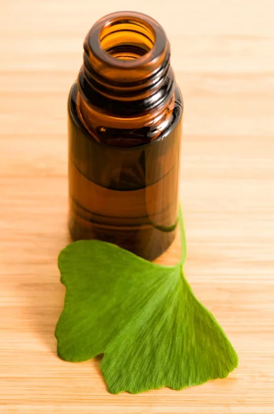 Ginko biloba eterisk olja med färska blad - skönhetsbehandling — Stockfoto