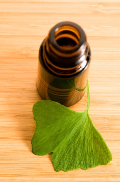 Ginko biloba essential oil with fresh leaves - beauty treatment — Stock Photo, Image