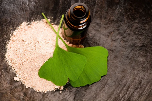 Fresh leaves ginko biloba essential oil and powder - beauty trea Stock Image
