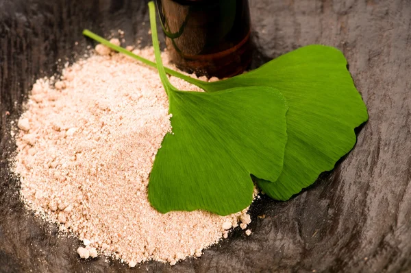 Aceite esencial de ginko biloba y polvo de hojas frescas - beauty trea — Foto de Stock
