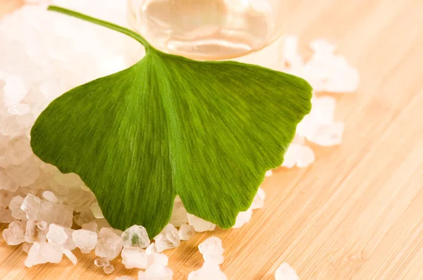 Fresh leaves ginko biloba essential oil and sea salt - beauty tr — Stock Photo, Image