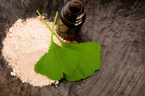 Fresh leaves ginko biloba essential oil and powder - beauty trea — Stock Photo, Image