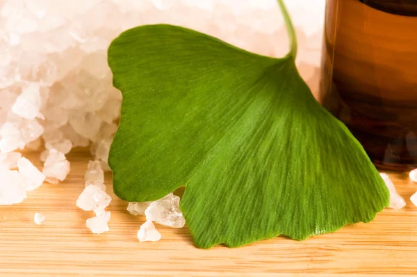 Свежие листья гинко билоба эфирное масло и морская соль - красота тр — стоковое фото