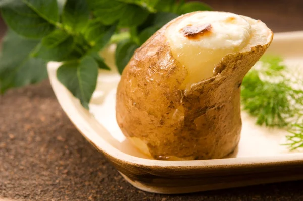 Gebakken aardappel met zure room en verse dille — Stockfoto
