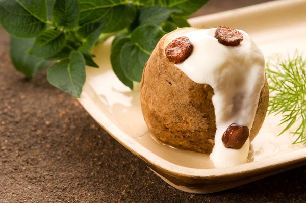 Bakad potatis med gräddfil, fettgrevar och färsk dill — Stockfoto