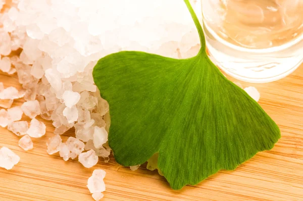 Fresh leaves ginko biloba essential oil and sea salt - beauty tr — Stock Photo, Image